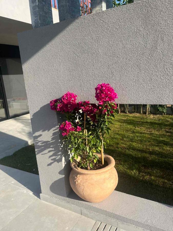 Villa Grand Kourouta Esterno foto